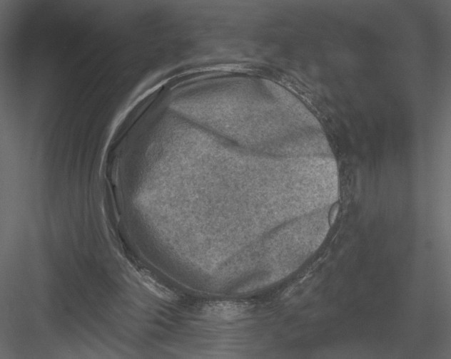 X0000082960198200702222349