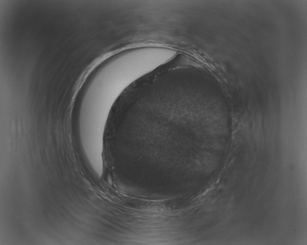 X0000082960200200702222349