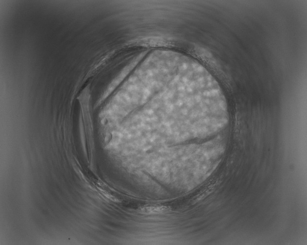 X0000082960202200702222349