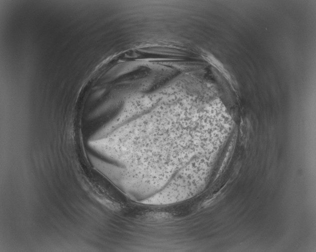 X0000082960203200702222349