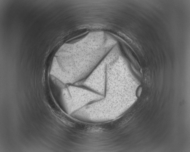 X0000082960206200702222349