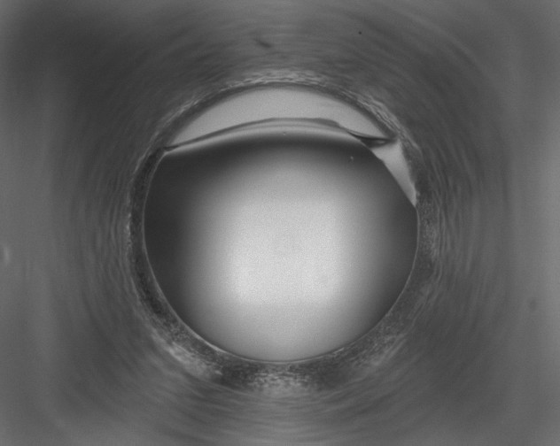 X0000082960207200702222349