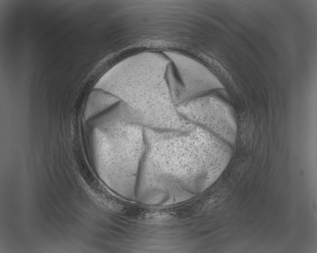 X0000082960208200702222349