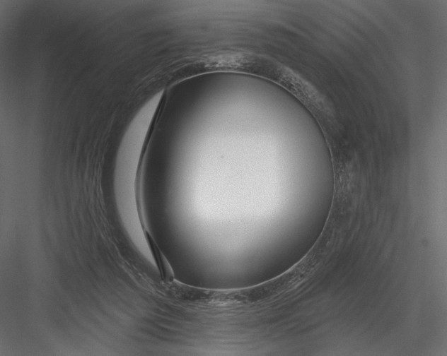 X0000082960209200702222349