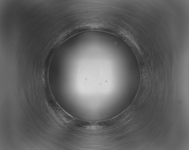 X0000082960212200702222348