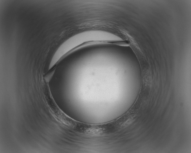 X0000082960213200702222348