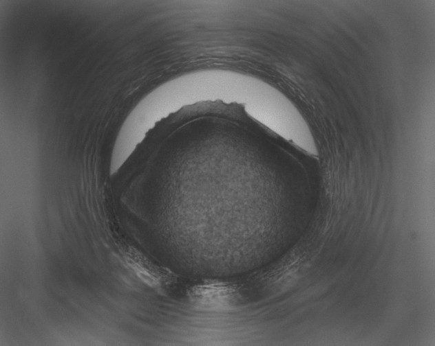 X0000082960219200702222348