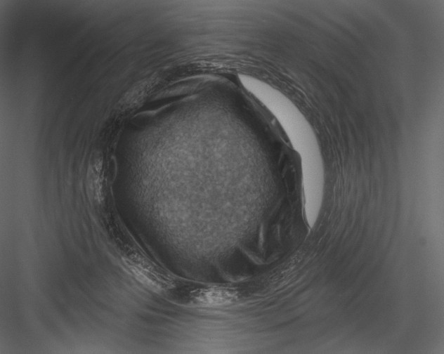 X0000082960223200702222348