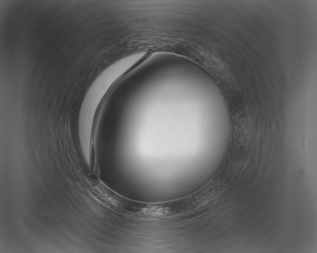 X0000082960225200702222348