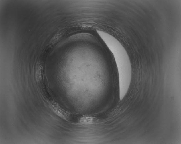 X0000082960227200702222348