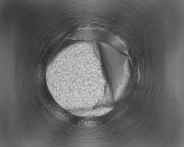 X0000082960228200702222348