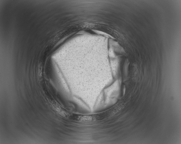 X0000082960230200702222348