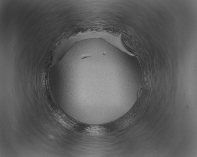 X0000082960231200702222348