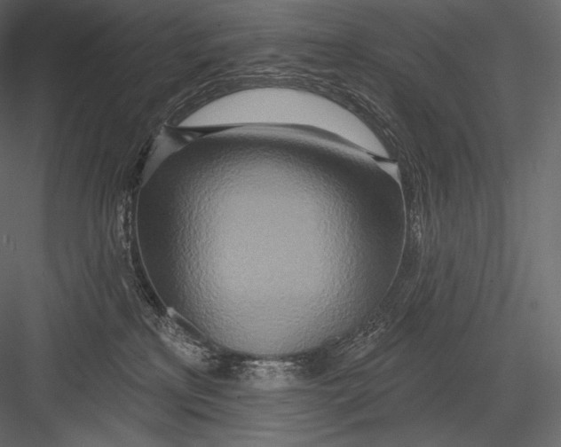 X0000082960233200702222348