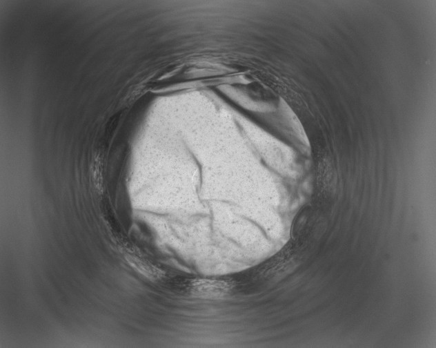 X0000082960234200702222348