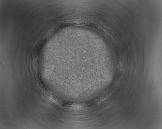 X0000082960236200702222348