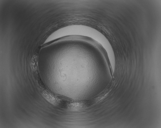 X0000082960237200702222348