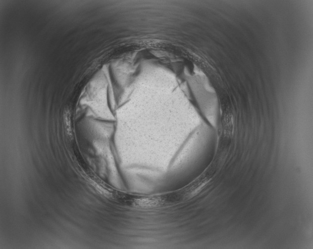 X0000082960238200702222348