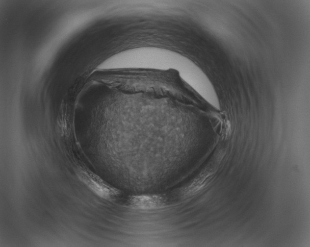 X0000082960239200702222348