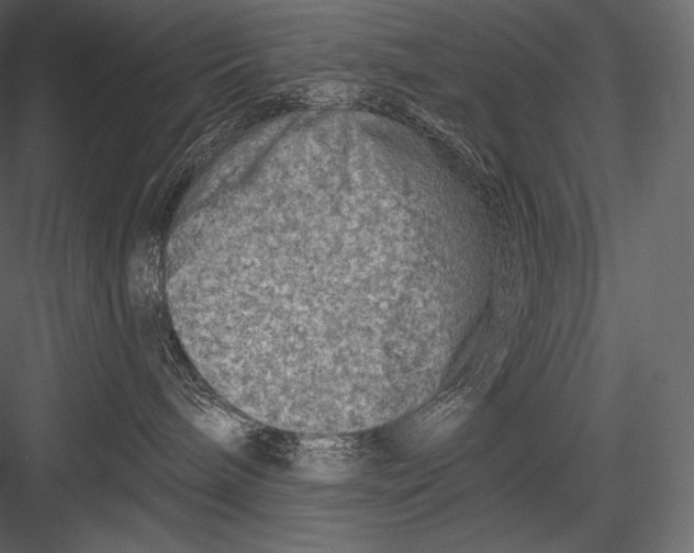 X0000082960240200702222348