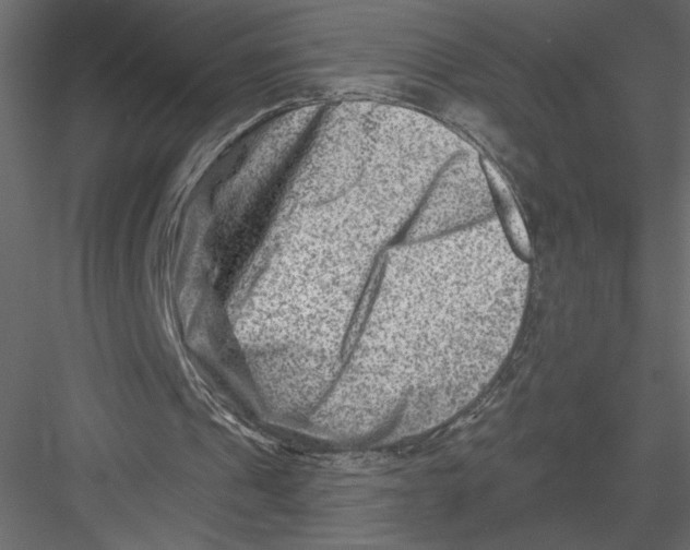 X0000082960241200702222347