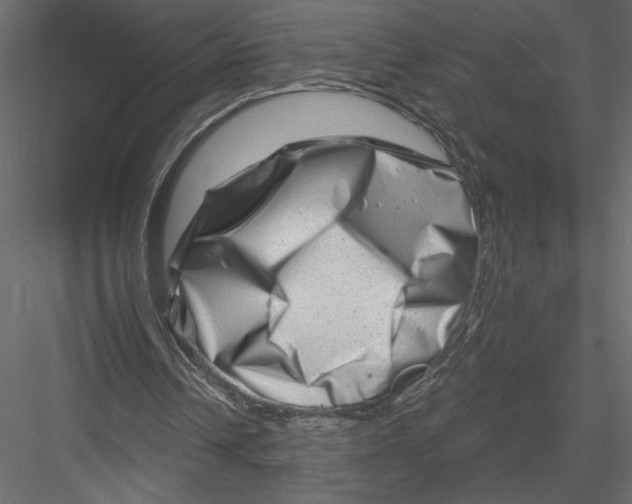 X0000082960242200702222347