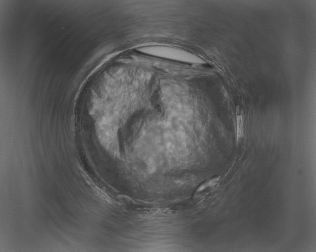 X0000082960243200702222347