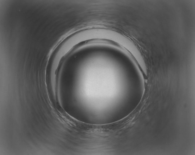 X0000082960244200702222347