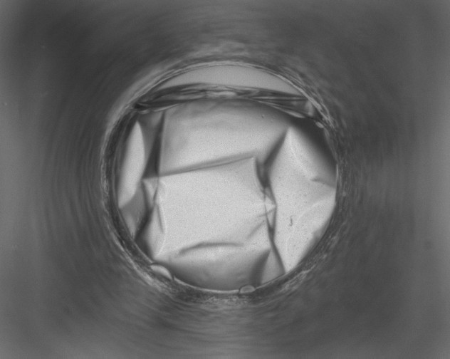 X0000082960245200702222347