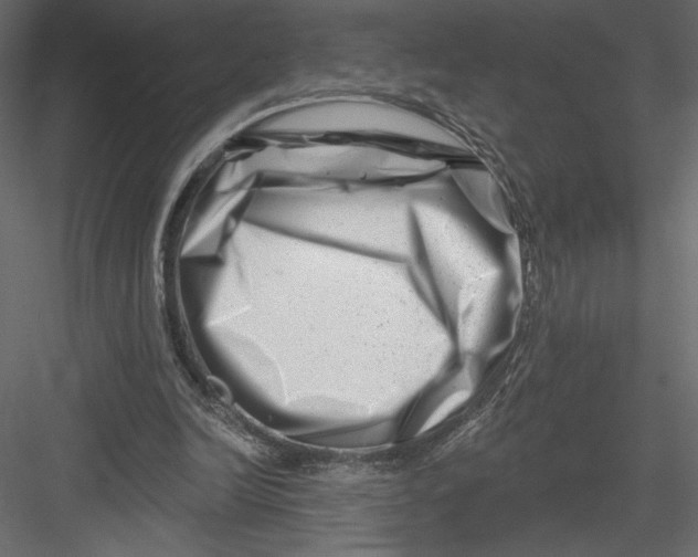 X0000082960246200702222347