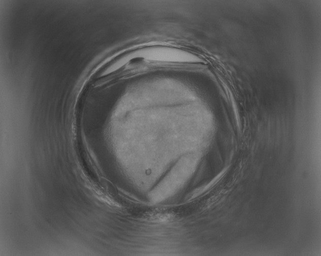 X0000082960247200702222347