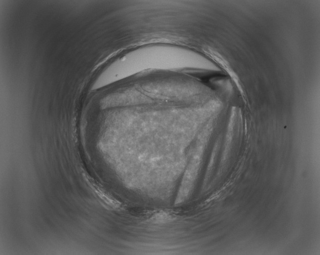 X0000082960249200702222347