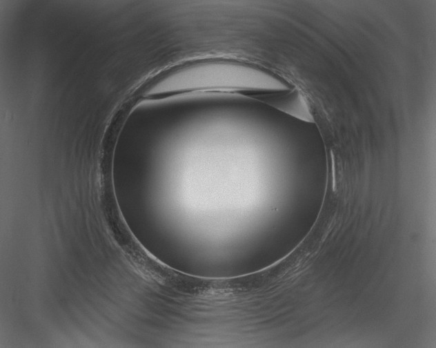 X0000082960252200702222347