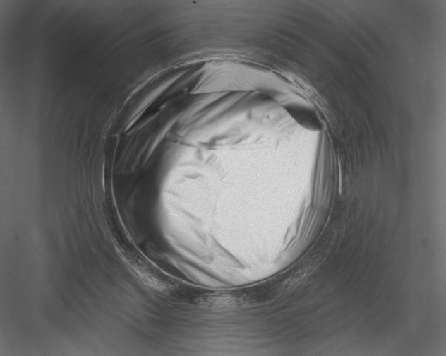 X0000082960253200702222347