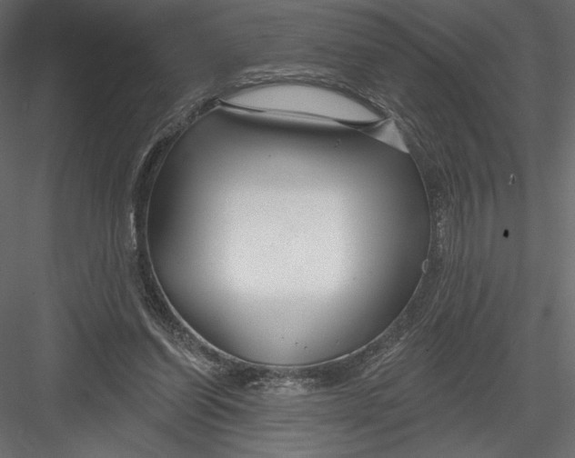 X0000082960254200702222347