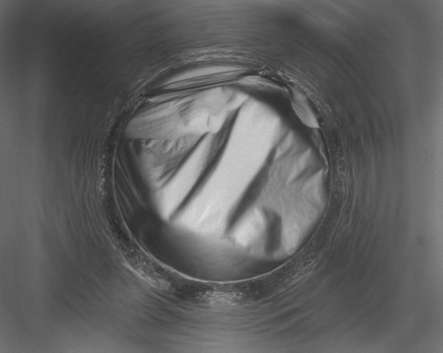 X0000082960255200702222347