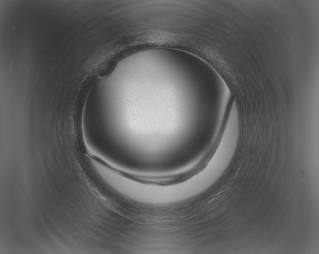 X0000082960256200702222347