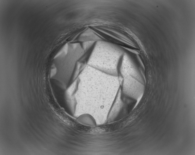 X0000082960257200702222347