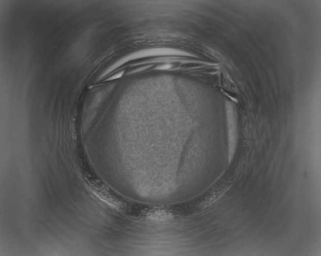 X0000082960258200702222347