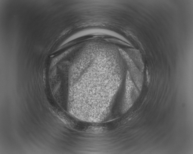 X0000082960260200702222348