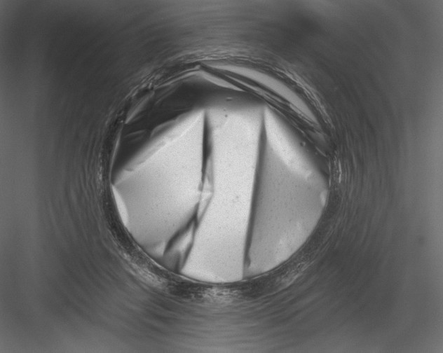 X0000082960261200702222348