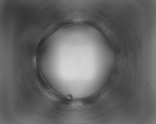 X0000082960262200702222348