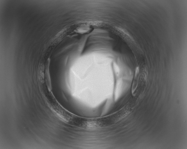 X0000082960264200702222348