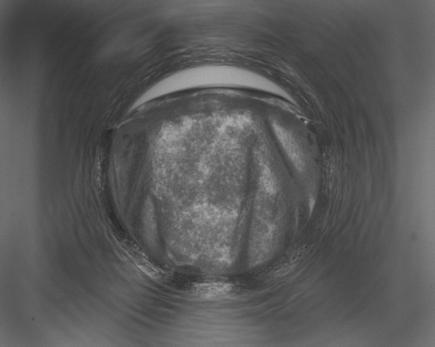 X0000082960266200702222348