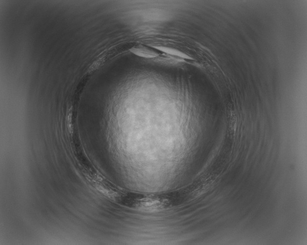 X0000082960267200702222348