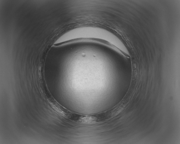 X0000082960269200702222348