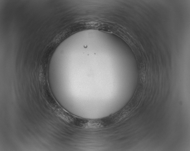 X0000082960270200702222348