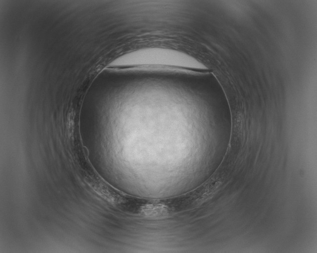 X0000082960271200702222348