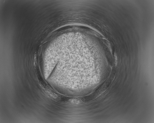 X0000082960272200702222348