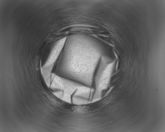 X0000082960273200702222348